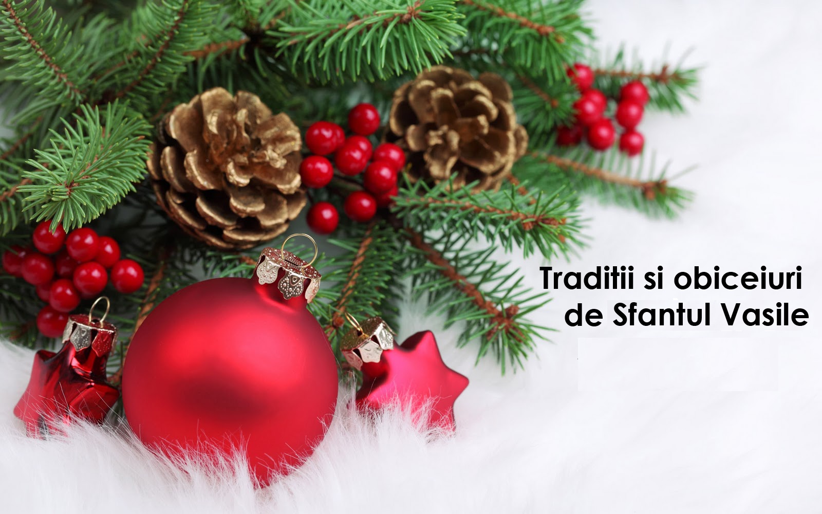 Tradiții și obiceiuri de Sfântul Vasile